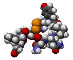 Oxytocin