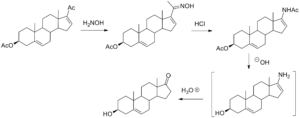 DHEA_synthesis